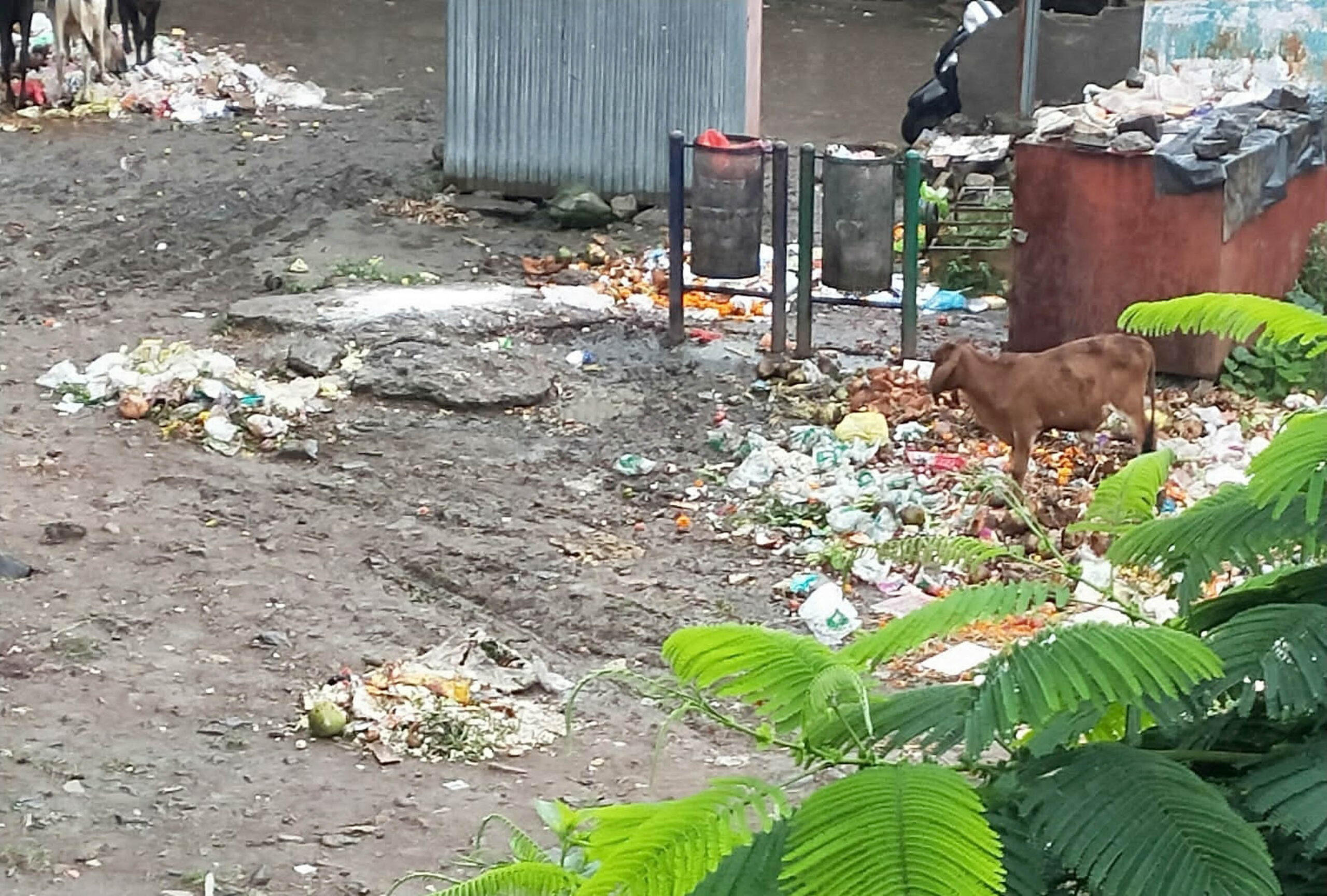 अहमदनगर शहरात स्वच्छतेचा बोजवारा… कचरा महापालिकेत आणून टाकण्याचा इशारा