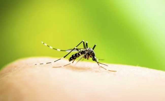 बाप रे… डेंग्यूचा कहर…’या’ राज्याची चिंता वाढली
