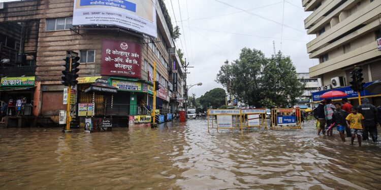 केंद्रीय पथकाने घेतला महापुरातील नुकसानीचा आढावा