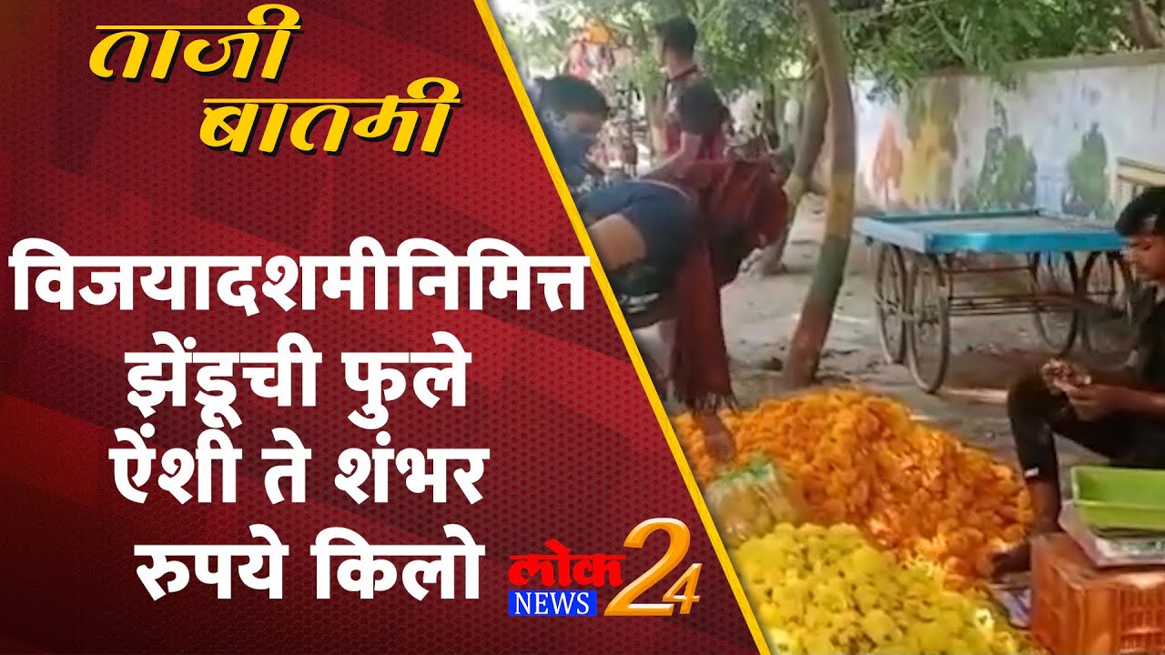 विजयादशमीनिमित्त झेंडूची फुले ऐंशी ते शंभर रुपये किलो (Video)