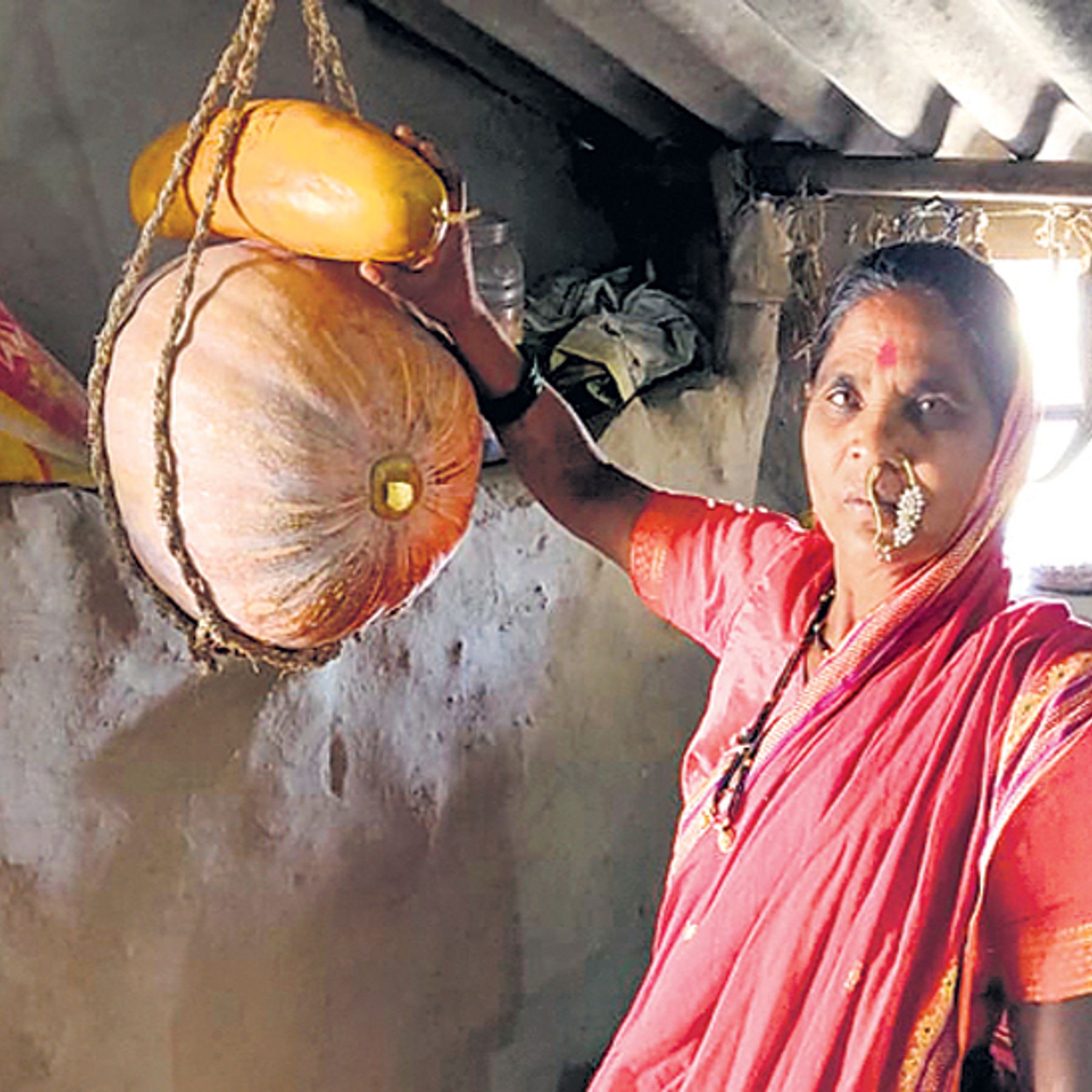 अहमदनगर जिल्ह्यातील कळसुबाई परिसर बियाणे संवर्धन संस्थेला राष्ट्रीय पुरस्कार