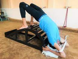 सर्व प्रकारच्या विकारग्रस्तांसाठी योग संजीवन वर्ग