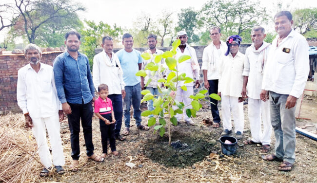 गोपीनाथ मुंडे पुण्यतिथीनिमित्त ढाकणवाडीत वृक्षारोपण