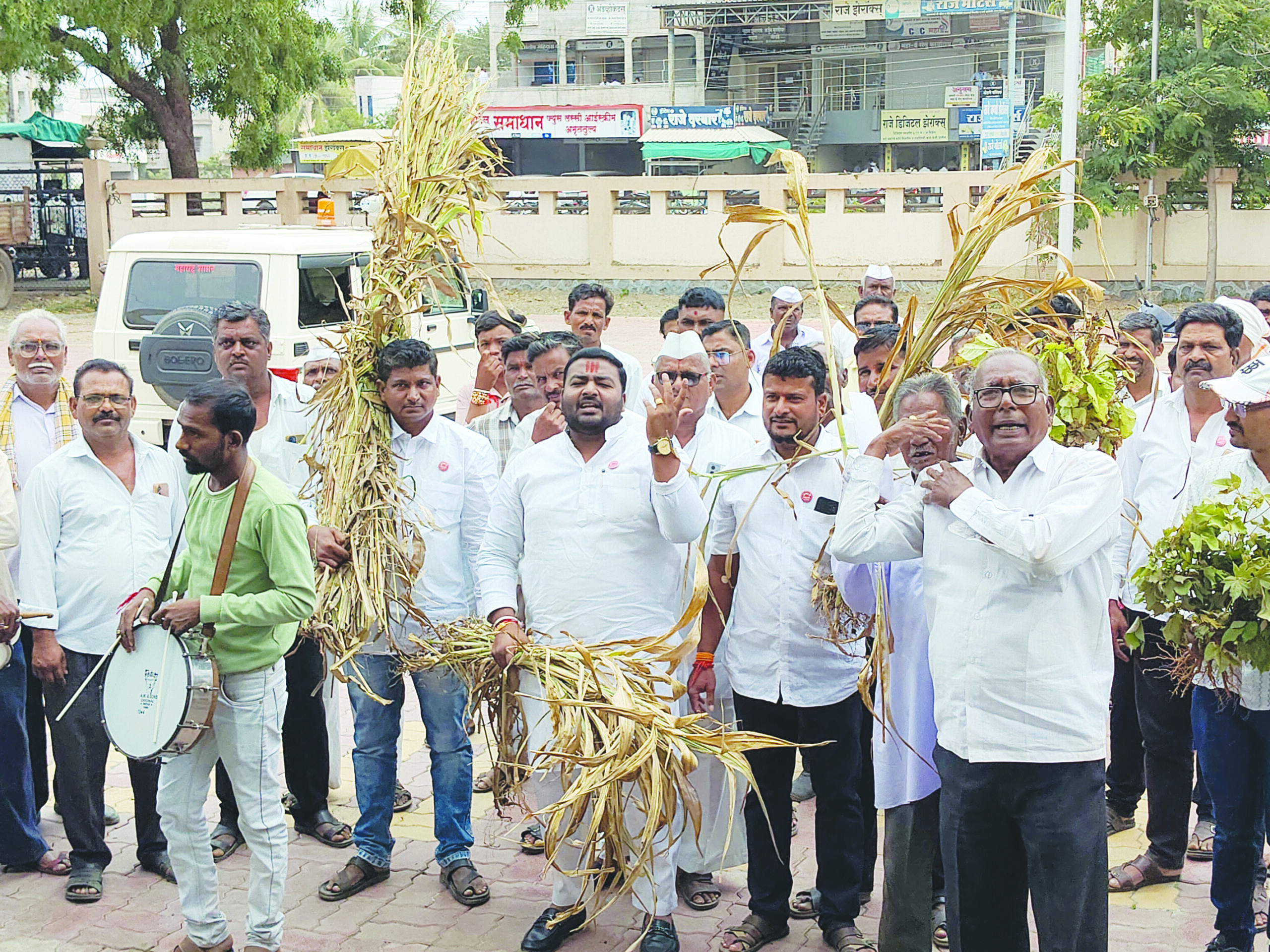 फसव्या कर्जमाफीच्या विरोधात ‘स्वाभिमानी’चा एल्गार शेवगाव तहसीलवर मोर्चा; चारा छावण्या सुरू करण्याची मागणी